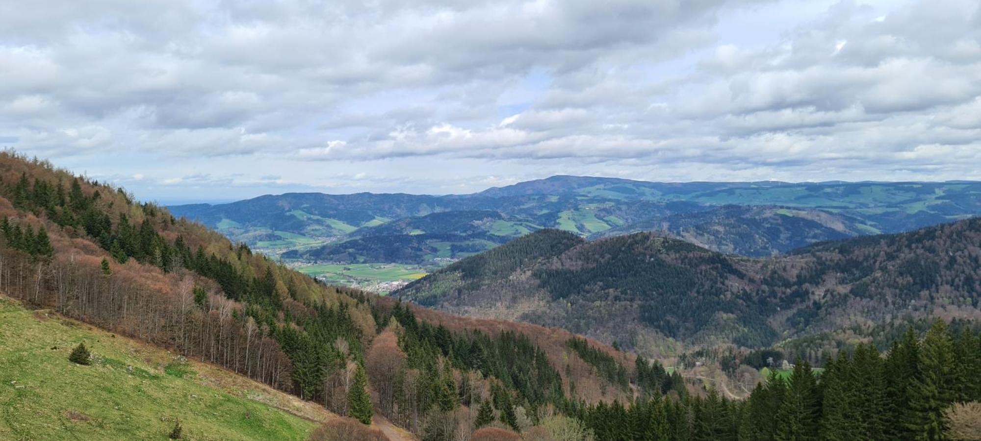 Appartamento Haus Anna-Marie Feldberg  Esterno foto