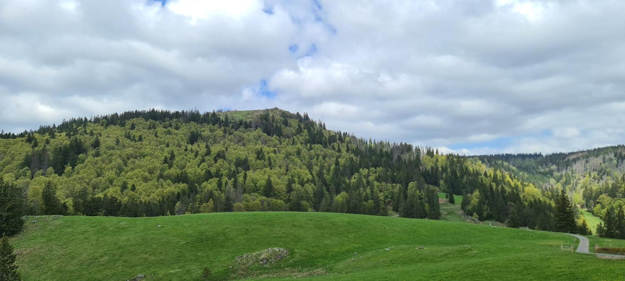 Appartamento Haus Anna-Marie Feldberg  Esterno foto